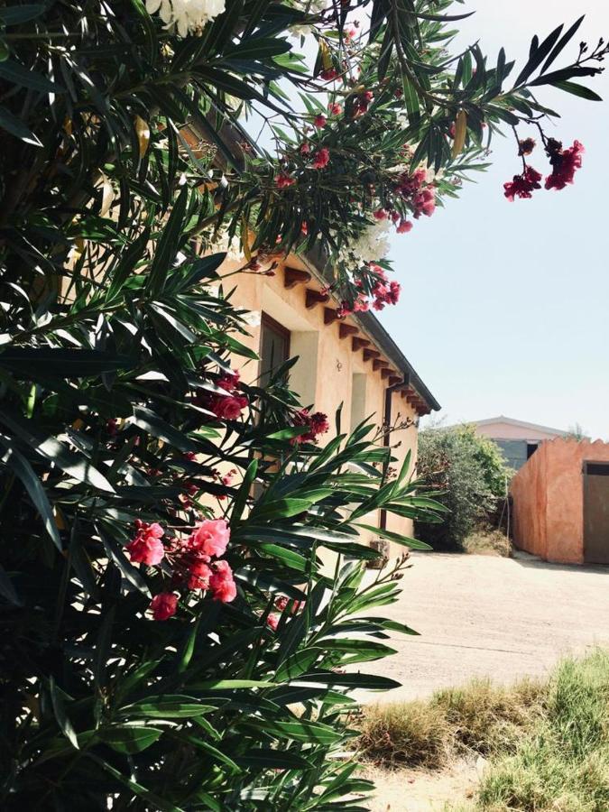 Agriturismo Funtan'Arva Loculi ภายนอก รูปภาพ