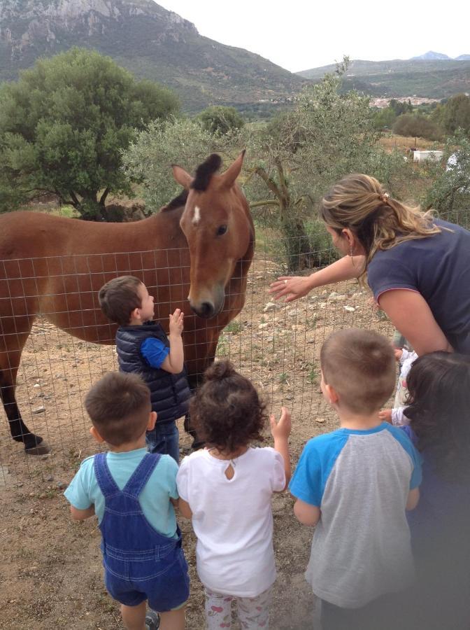 Agriturismo Funtan'Arva Loculi ภายนอก รูปภาพ